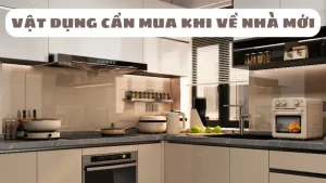 Đồ tiêu dùng cần thiết cho nhà mới: List danh sách đầy đủ để ổn định cuộc sống